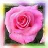 anto